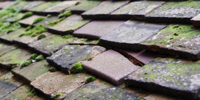Ringmer roof repair costs